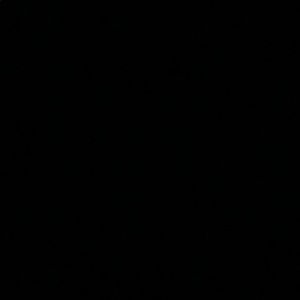 Meet your Posher, Reilly